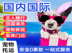 漠河古莲航空邮寄国际宠物托运 【国